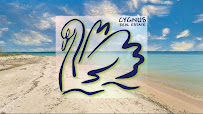 Cygnus Real Estate - Great Lakes 01