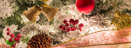 Midcoast Federal Credit Union 04