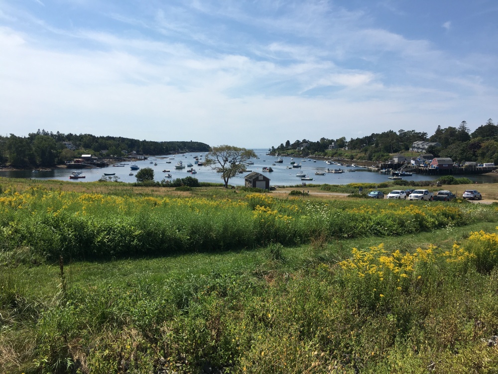 Harpswell Insurance Group, LLC 01