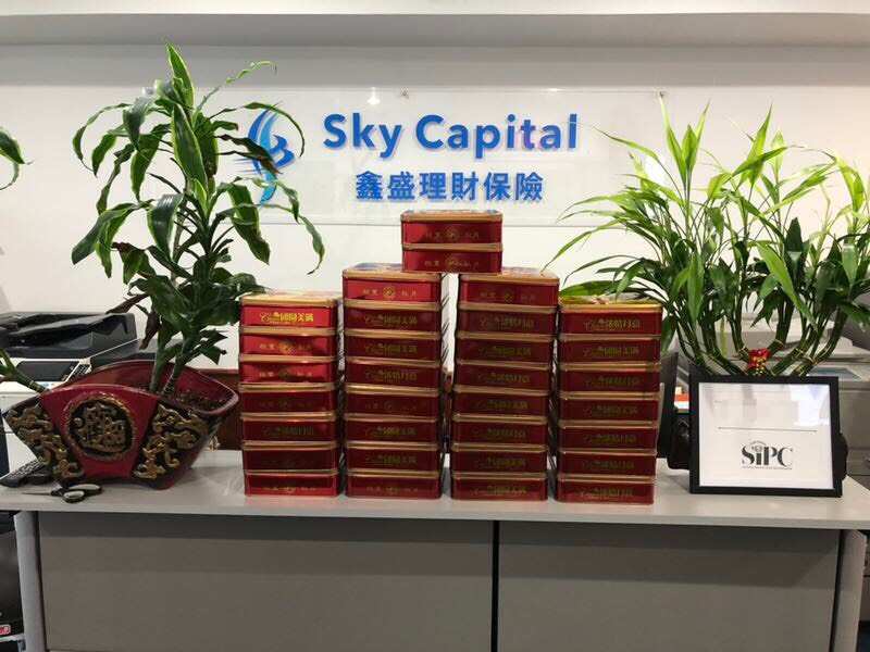 Sky Capital Group 01