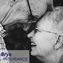 Brya Insurance 02