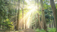 Your FundingTree, LLC 01