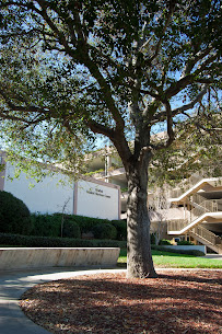 Office of Undergraduate Financial Aid 04