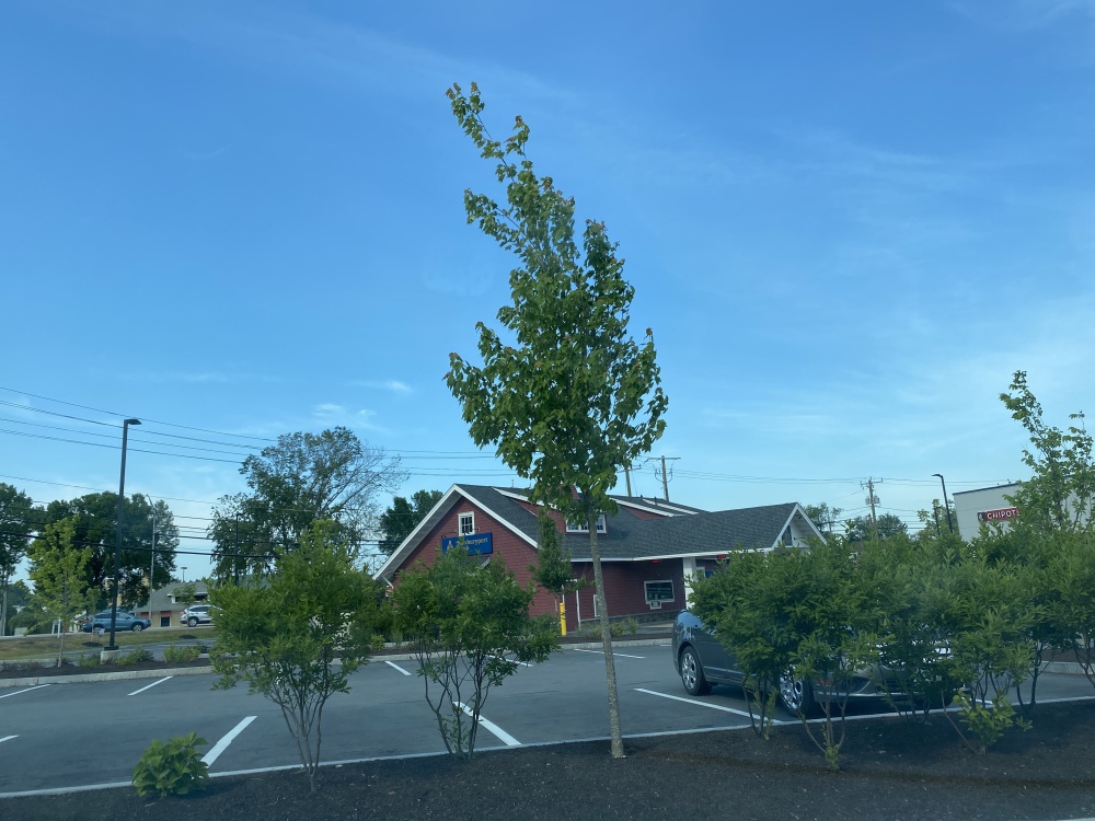 Newburyport Bank 01
