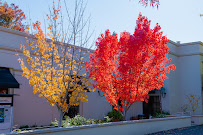 Silverado Credit Union 02