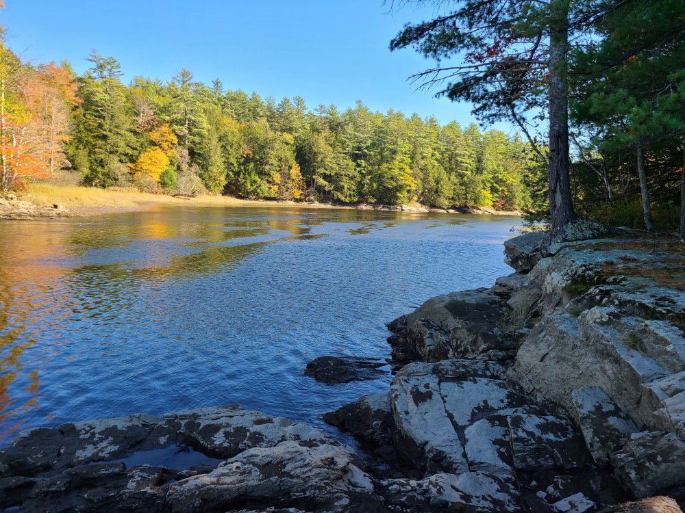 Steve Powell Wildlife Management Area (SWAN ISLAND) 01