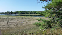 Steve Powell Wildlife Management Area (SWAN ISLAND) 03