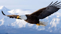 Liberty Business Loans, LLC 01