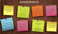 Avanze Group 02
