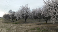 Hudelson Nut Co 03