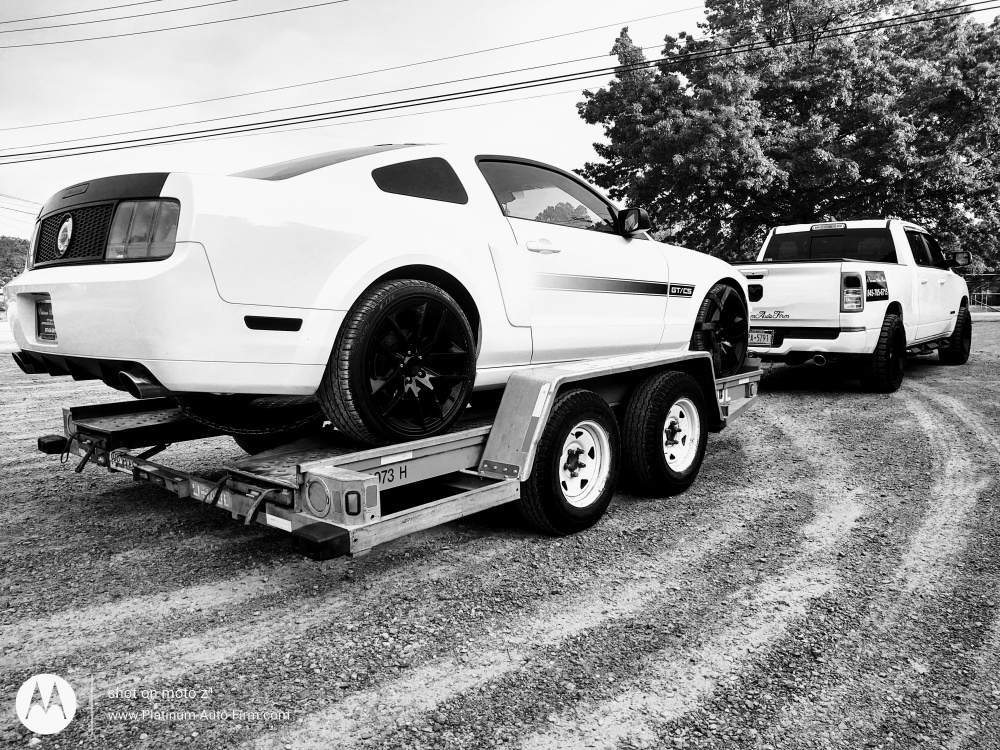 Platinum Auto Firm 01