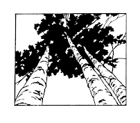 Walden Mutual 04