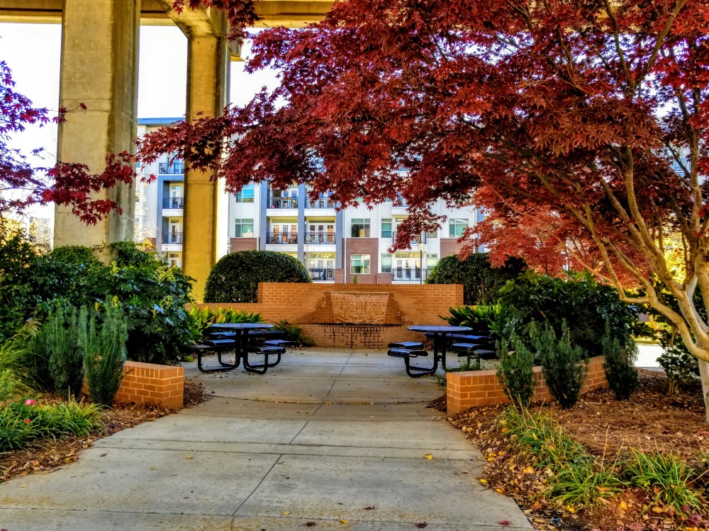 SouthState Bank 01