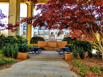 SouthState Bank 01