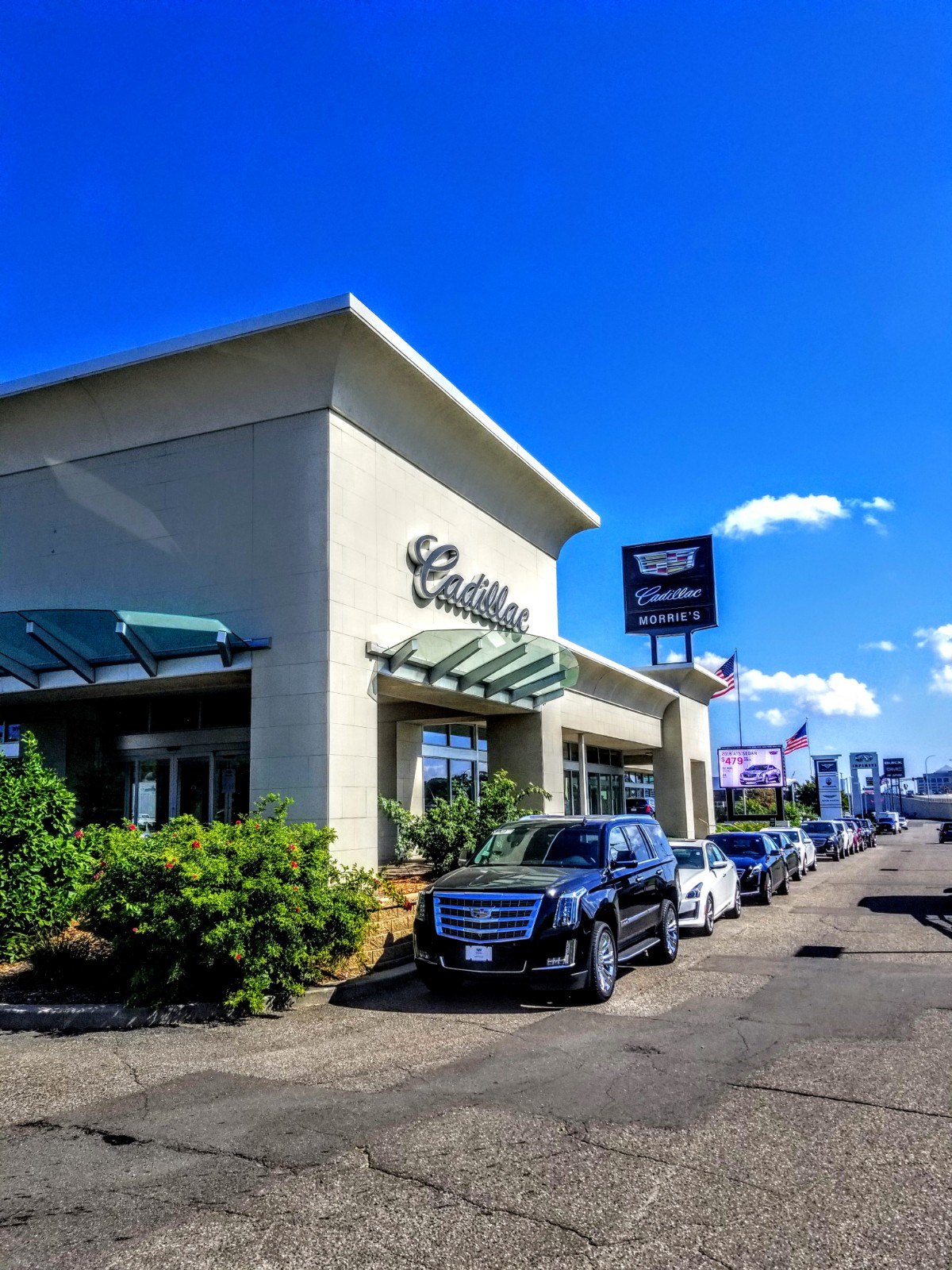 Morrie's Golden Valley Cadillac 01