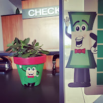 Check Into Cash 01