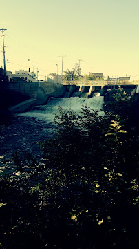N. F. Field 02