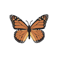 Monarch Title Company Inc 03