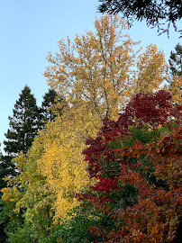 Kentfield Commons 03