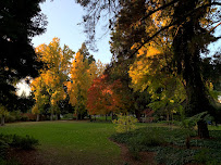 Kentfield Commons 04