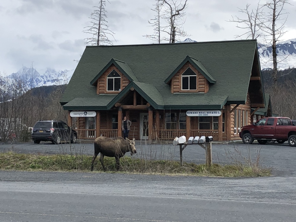 Seward Real Estate Co. 01