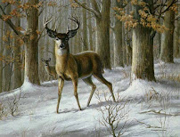 Deercreek Financial 03