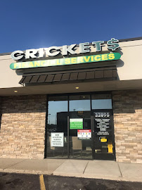 Cricket Financial Service 02