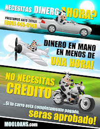 Moo Loans-Car Title Loans 04