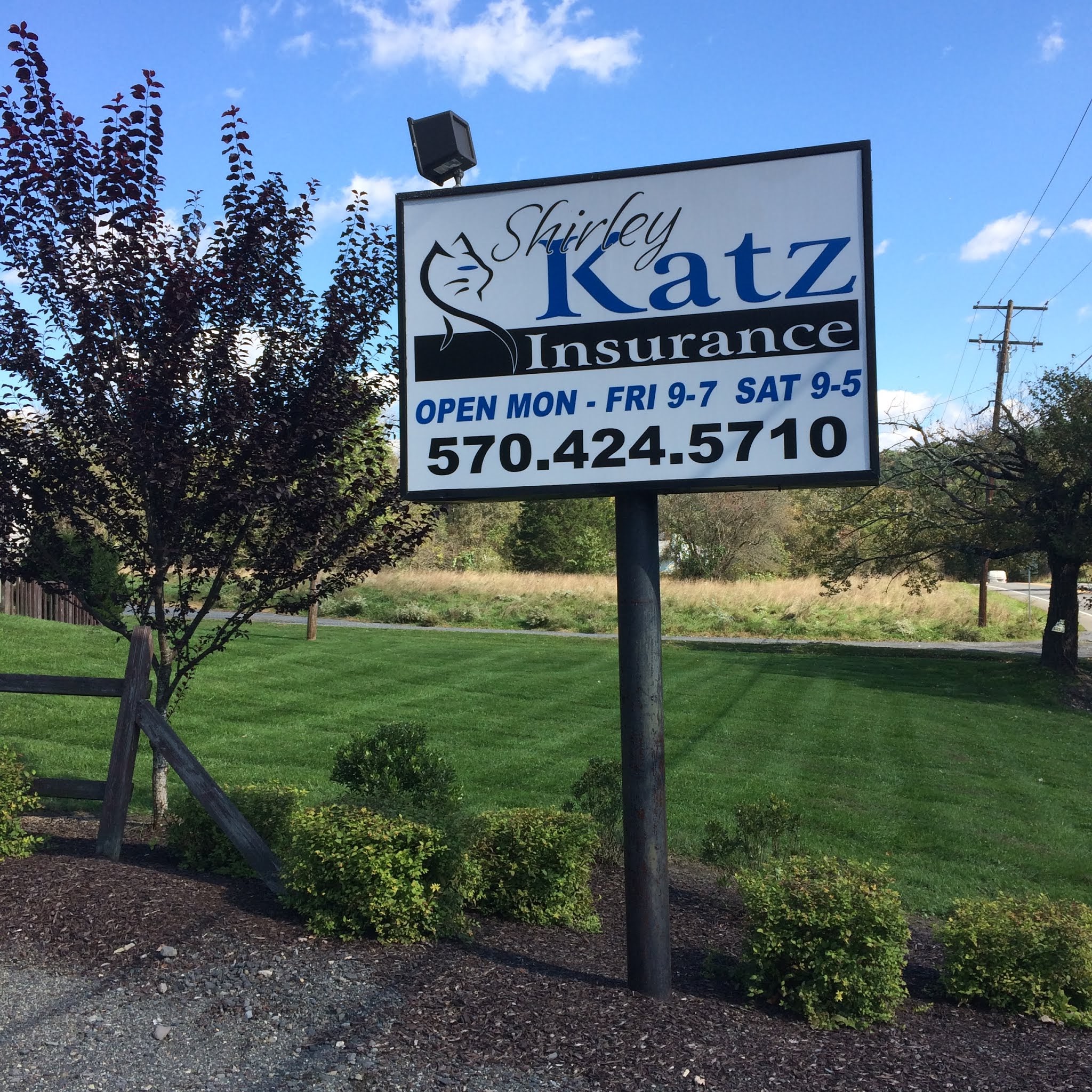 Shirley Katz Insurance 01