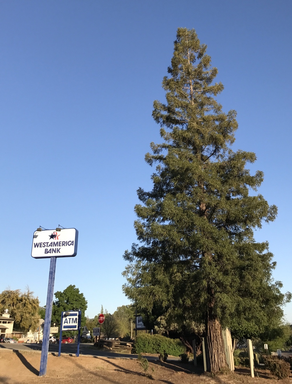 Westamerica Bank 01