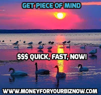 MoneyForYourBizNow.com 03