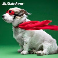 State Farm: Greg Reddell 04