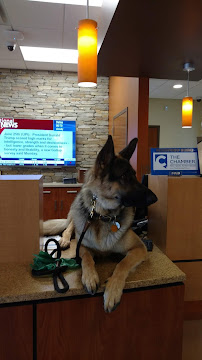 United Federal Credit Union - Spanish Springs 04
