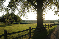 Spring Mill Financial, LLC 01