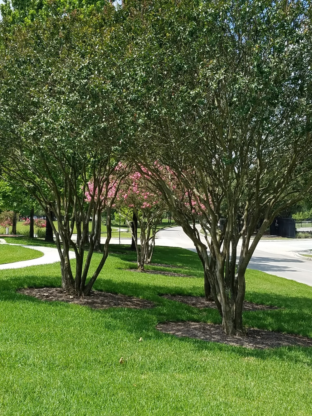 Chesmar Homes 01