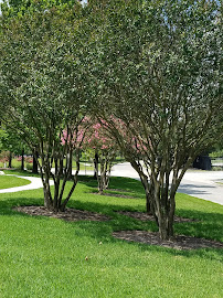 Chesmar Homes 01