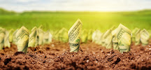 Dottenwhy Financial Group 01