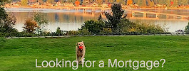Todd Bruess NMLS 409816 04
