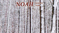 Noah Insurance Group 04