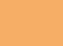 Star of Texas Financial Solutions 04
