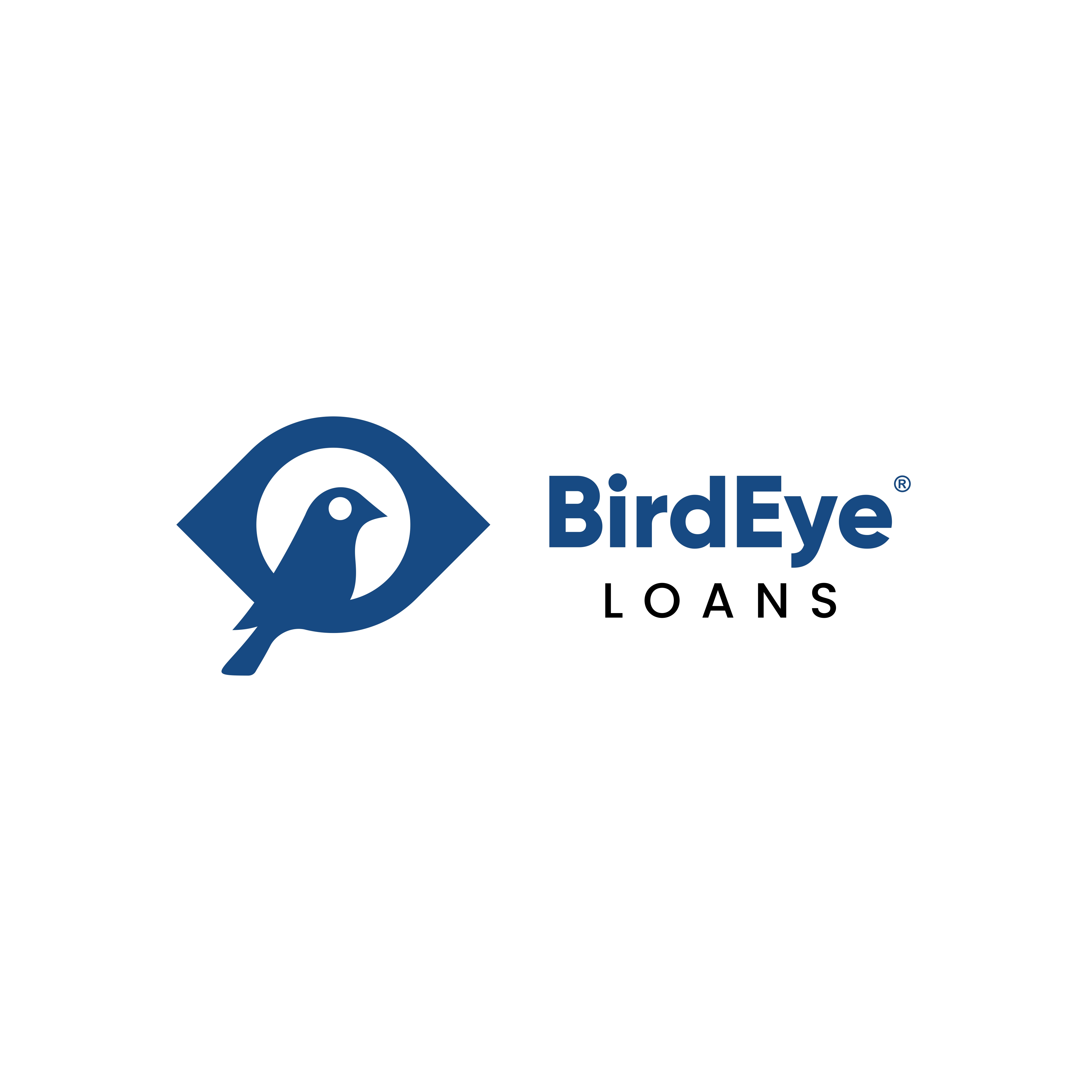 Birdeye Loans, Inc. ® 01