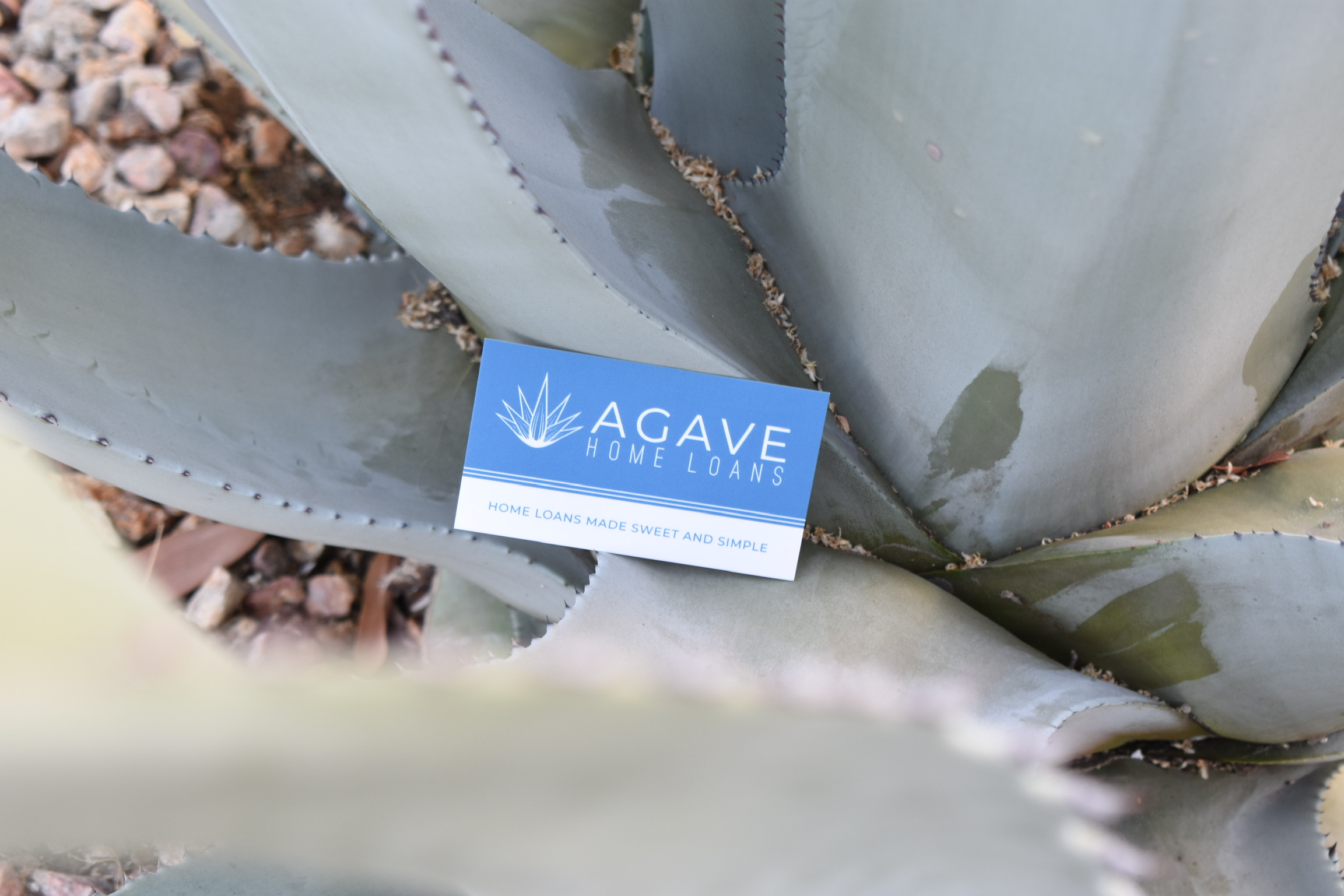 Agave Home Loans 01