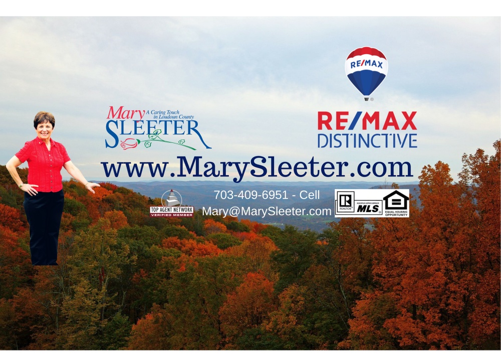 Mary Sleeter - Realtor - RE/MAX Distinctive Real Estate 01