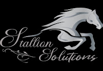 The Stallion Solutions LLC 02