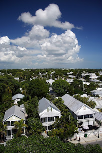 Truman & Co. Real Estate Services 02