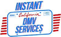 Auto International Insurance 03
