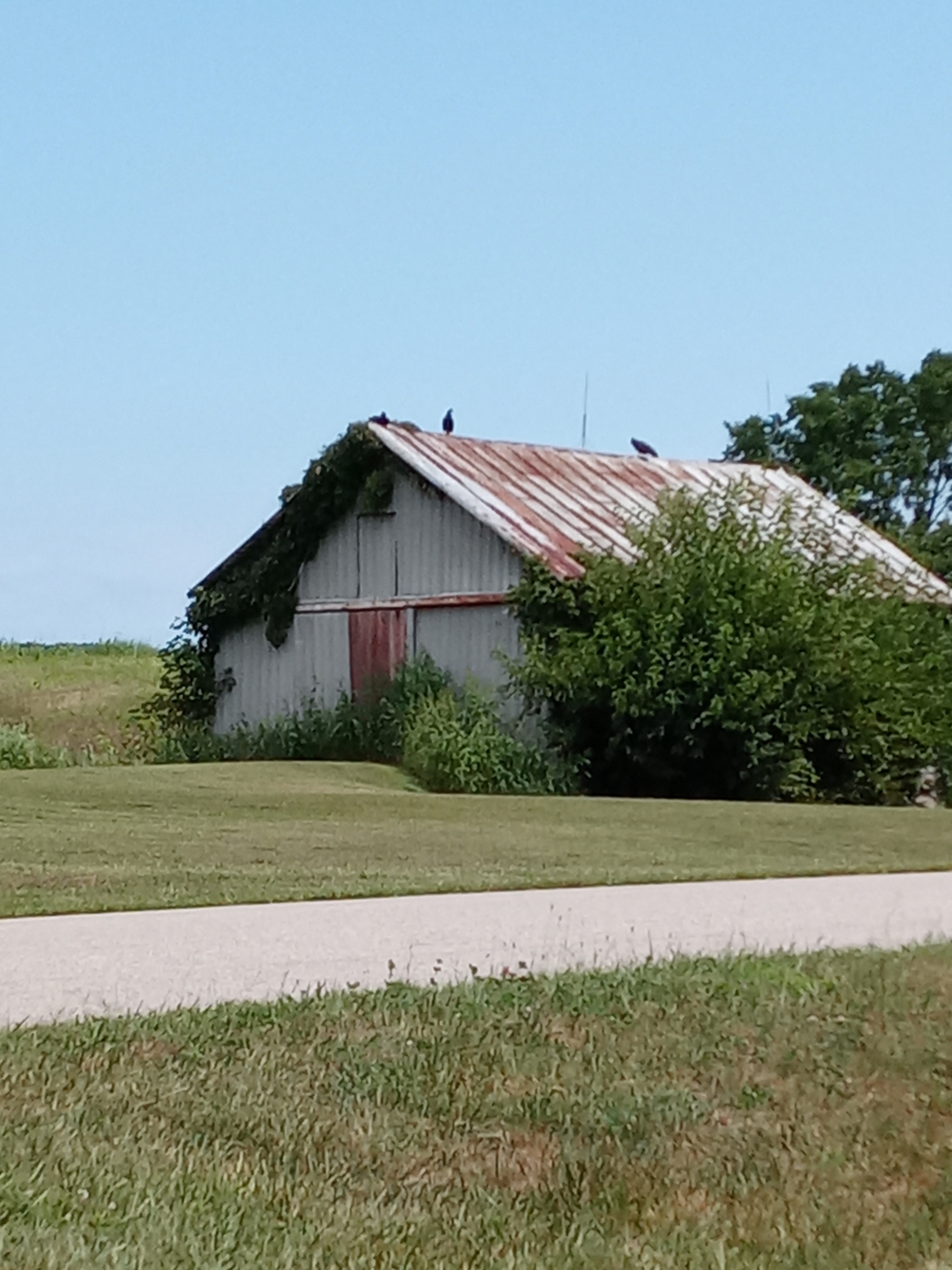 Prairie Creek Pawn Inc. 01