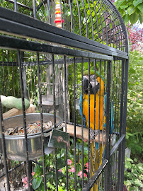 Piney Creek Greenhouse 04