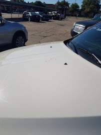 AutoNation Collision Center Addison 04