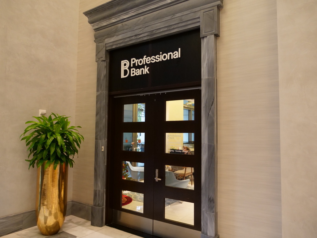 Professional Bank 01